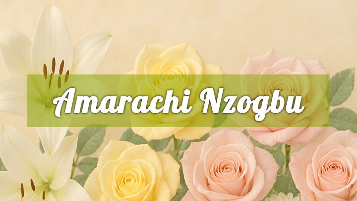 Amarachi Nzogbu, Canal Winchester, OH