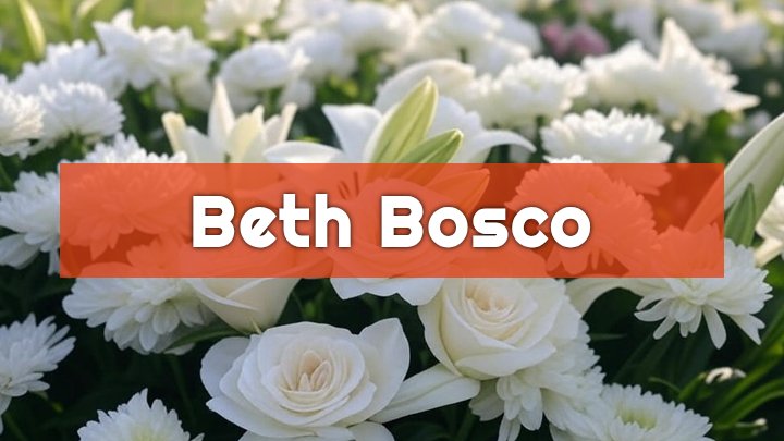 beth bosco hartford ct obituary