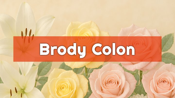 Brody J. Colon, Charlton, MA