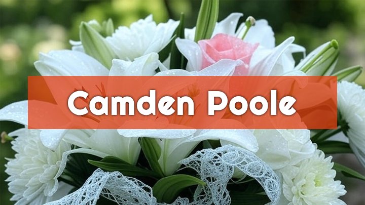 camden poole hephzibah ga obituary