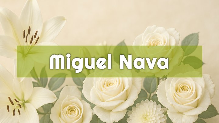 miguel nava traverse city mi obituary