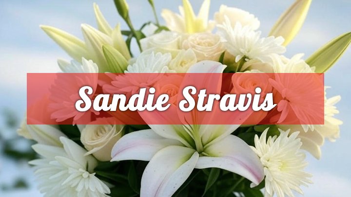 Sandie Stravis, Chicago, IL