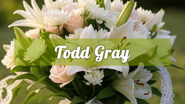 todd gray florence ky obituary