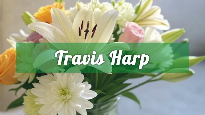 travis harp newell sd obituary